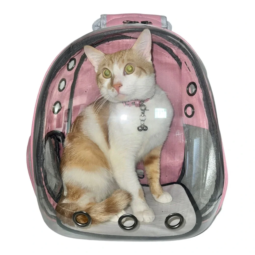Pet Carrier Backpack
